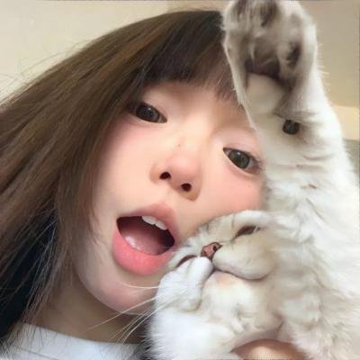 神探，你好神